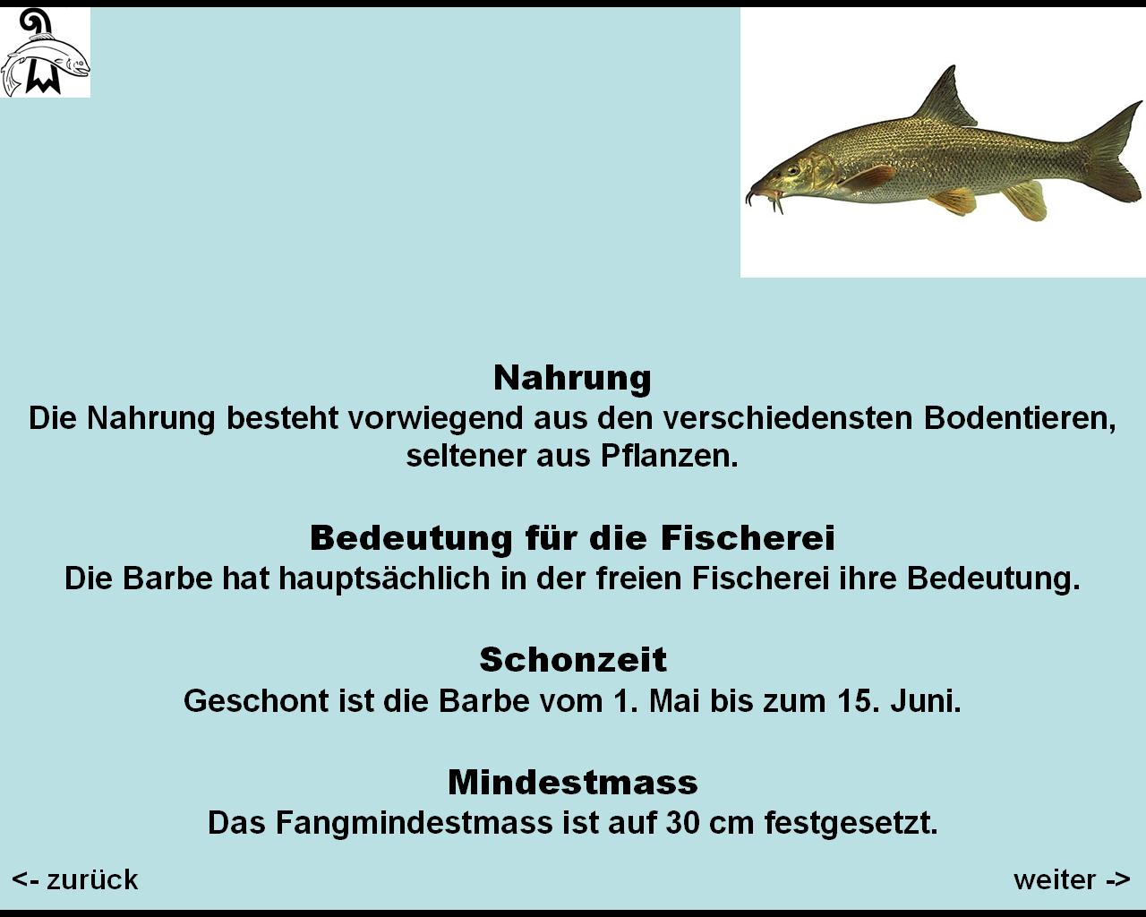 bild 109